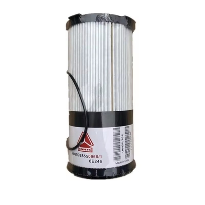 Pièces détachées pour camions Fs20190 Filtre à carburant Wg9925550966 pour camions Sinotruk HOWO T7h C7h T5g