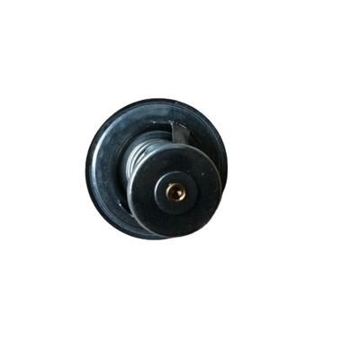 Le thermostat standard de taille 76 degrés pour le camion photon SINOTRUK CNHTC T2485613 T74405005