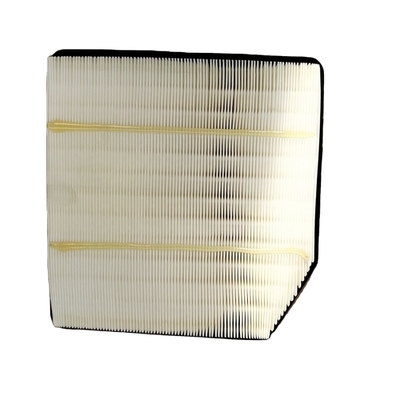 Élément de filtre à air Assy C4119019010a0 de taille standard pour pièces détachées de camions chinois Foton